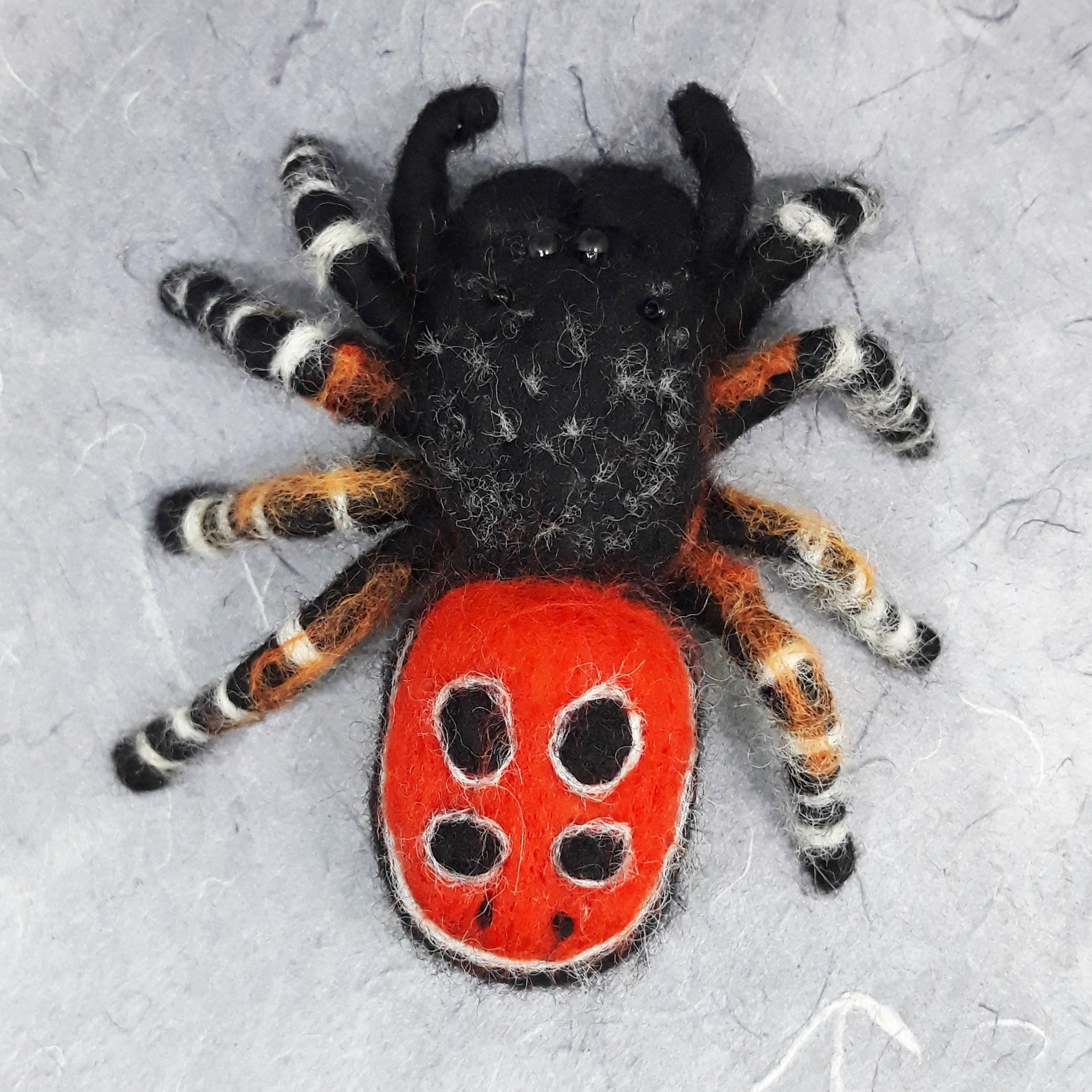 Velvet spider for sale