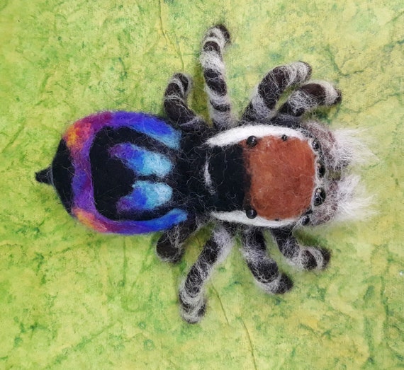 Arana Pavo Real Arcoiris Maratus Sceletus En Fieltro De Etsy Mexico Arana Pavo Real Arcoiris Maratus Sceletus En Fieltro De Etsy Mexico