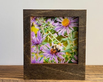 Square Frame