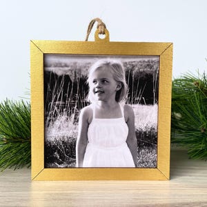 4x4 Frame Ornament, fits 4” square photos/art