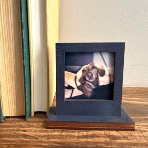 The Tiny Frame + Stand