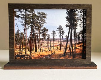 5"x7" Wooden Drop-in Style Frame + Stand