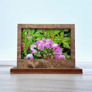 Wide Wooden Frame + Stand
