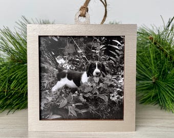 3x3 Frame Ornament, fits photos 3" by 3"