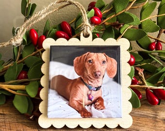 WHOLESALE Scalloped Ornament Backer: fits 2 inch Square Magnets