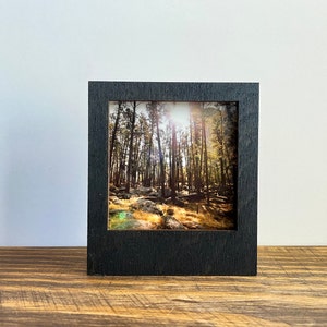May include: A black wood picture frame with a photograph of a forest scene. The photo shows a path through a forest with trees and sunlight.