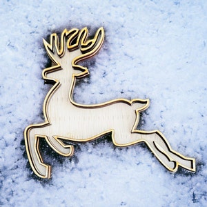 Reindeer Shaker Kit