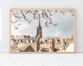 The Hub seen through some spring trees from Greyfriars Kirkyard  (Edinburgh, Scotland)