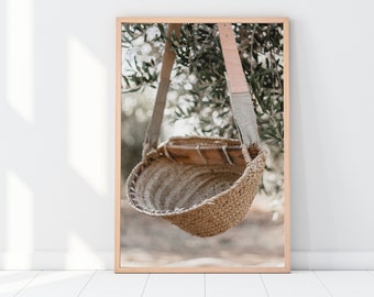 Photographic print of an olive collection basket hanging from a tree within an olive field in the South of Spain