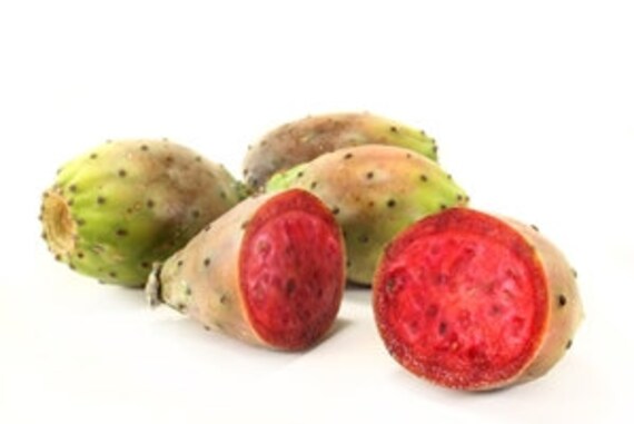 Kaktusfeige l Serum, Kaktus-l, Feigenkaktus Serum, natrliche  Gesichtsserum, Barbary Fig l, Kaktusfeigen Kernl, Anti-Aging  Gesichts-Serum - Etsy.de
