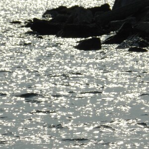 5x4 Photo Magnet - Toronto Water Front / Lake Ontario / Landscape / Nature / Sunshine Photos are printed per order