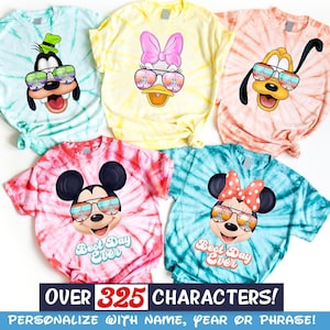 Disney Family Shirts, Disneyworld Shirts, Matching Disney and Disney Matching Family Shirts, Magic Kingdom Shirt, Disney Shirts, Gigi