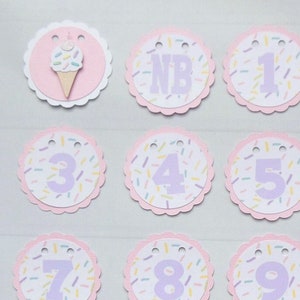 Ice Cream Photo Banner, First Year Photo Banner, 1st Year Photo Banner, Milestone Banner, Newborn to 1 Year, Ice Cream and Sprinkles Theme image 1
