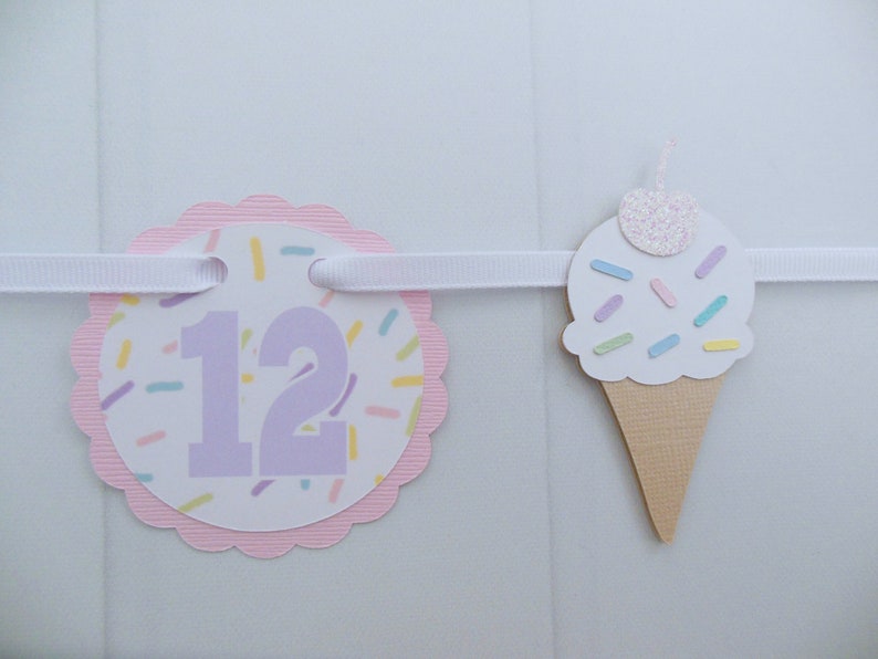 Ice Cream Photo Banner, First Year Photo Banner, 1st Year Photo Banner, Milestone Banner, Newborn to 1 Year, Ice Cream and Sprinkles Theme image 7