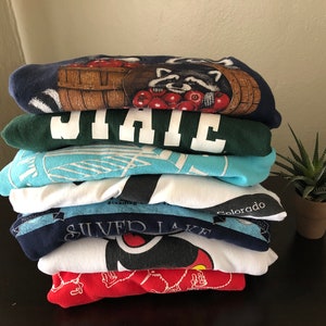 Mystery Thrifted Sweatshirt | Graphic Sweatshirt Vintage Thrift Box | Unisex Animal Travel Sports Quirky Vintage and Retro Sweatshirt Bundle