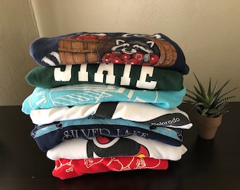 Mystery Thrifted Sweatshirt | Graphic Sweatshirt Vintage Thrift Box | Unisex Animal Travel Sports Back to School Sweatshirt Bundle