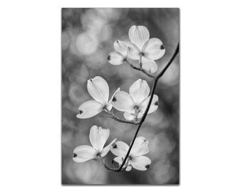 Dogwood Flowers Black and White Art Print Floral Zen Atmosphere Serene Calm Peaceful Meditation Wall Art Botanical