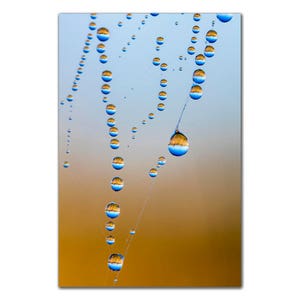May include: A spiderweb covered in dew drops, reflecting the sky and surrounding landscape. The drops are blue and clear, hanging from the web's delicate strands.