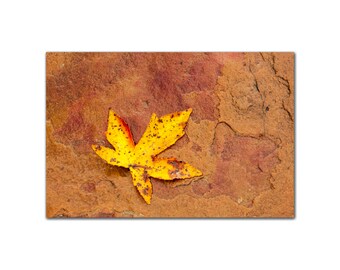 Fallen Maple Leaf on Stone, Wabi Sabi Art, Fine Art Print Photograph, Gold, Copper Orange Tones Photo Art Print Wall Art