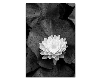 Water lily Flower in Black and White Art Print Floral Zen Atmosphere Serene Calm Peaceful Meditation Wall Art Botanical