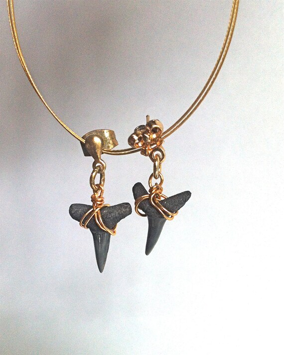 Items similar to FOSSILIZED shark tooth earrings - upcycled