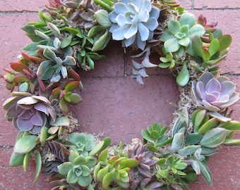 Succulent Wreath | Centerpiece Live 10"-11" diameter