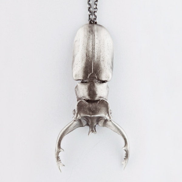 Insect Jewelry - Etsy