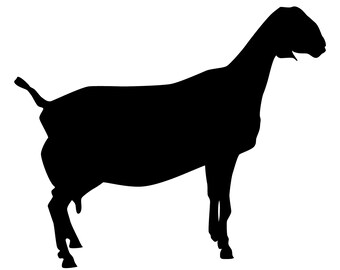 Nubian Goat Svg File Etsy