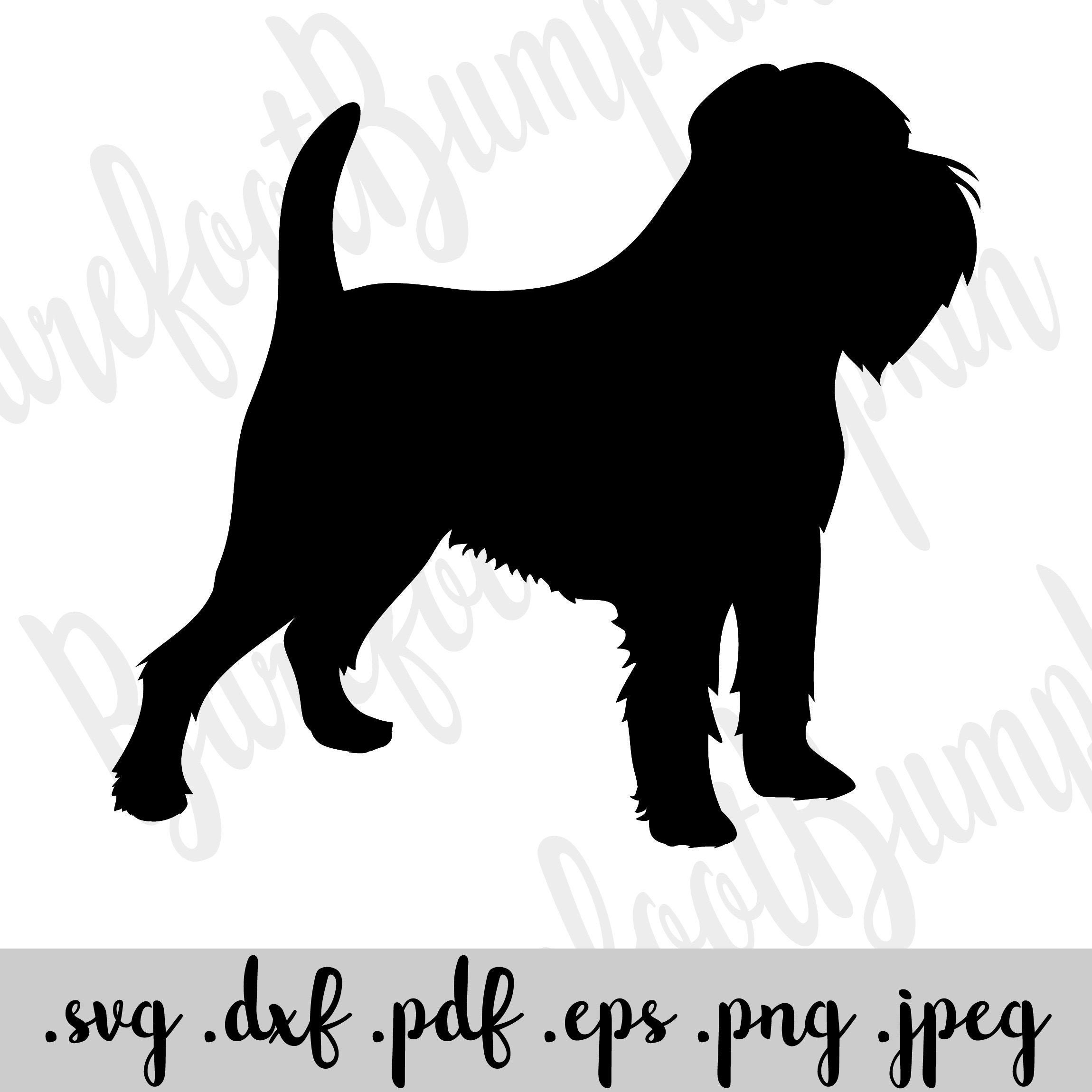 Download Brussels Griffon Show Dog Silhouette Svg Instant Download Etsy