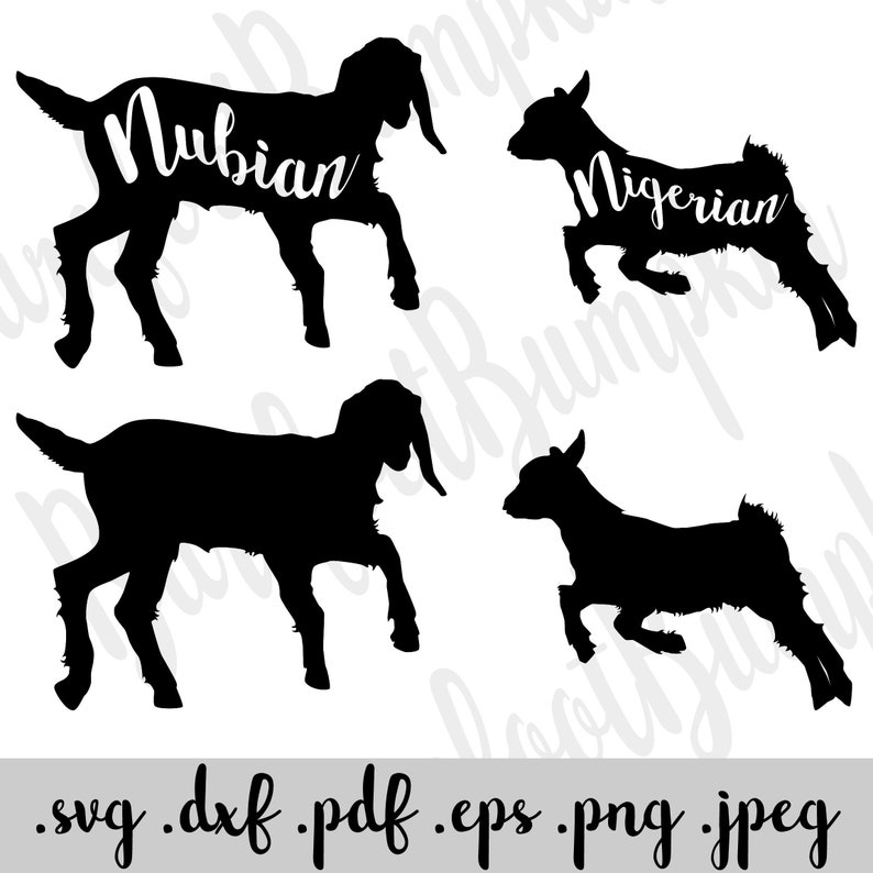 Download Baby Goat Kids Nigerian and Nubian SVG Instant Download | Etsy