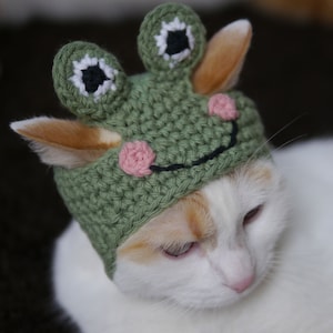 Frog Hat for Pets