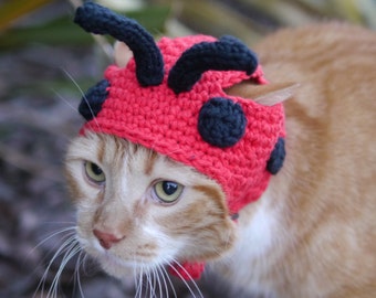 Ladybug Hat for Pets