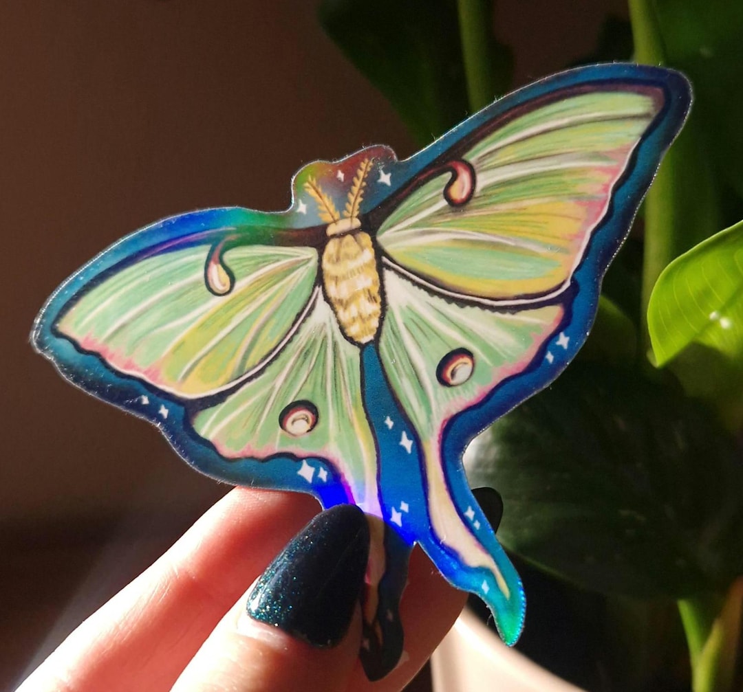 Holographic Vinyl Luna Moth Sticker - Etsy