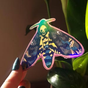 May include: A holographic sticker of a moth with iridescent blue, green, and yellow wings. The moth has a skull-like pattern on its head.