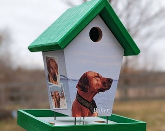 Personalized Pet bird Feeder