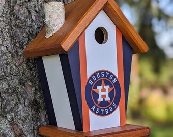 Houston Astros Birdhouse