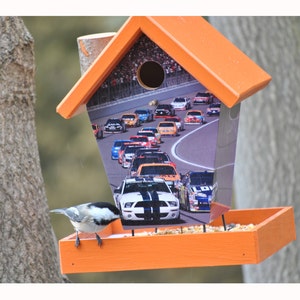 Nascar Bird Feeder image 1