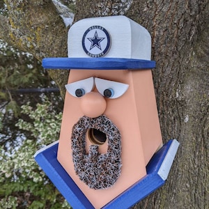 Dallas Cowboys Fan