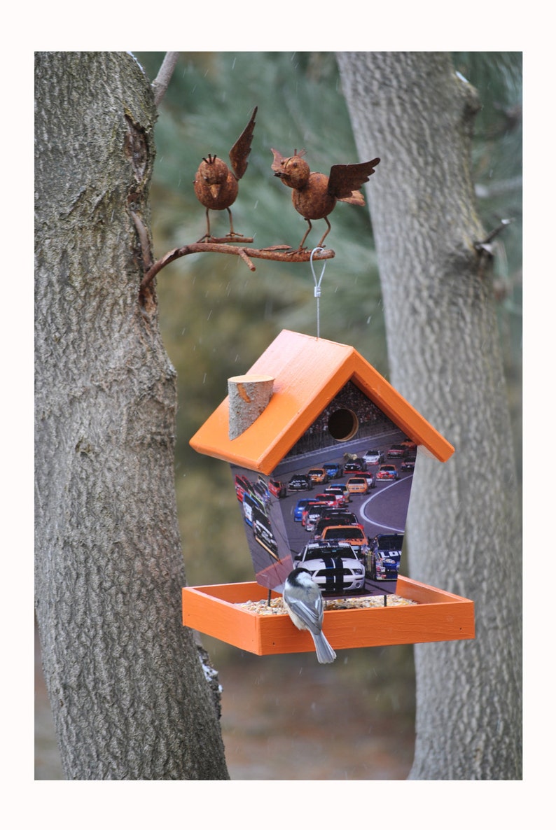 Nascar Bird Feeder image 2