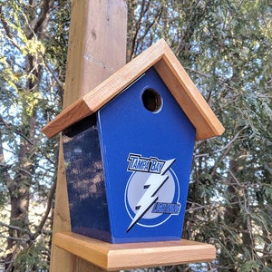 Tamper Bay Lightning Birdhouse