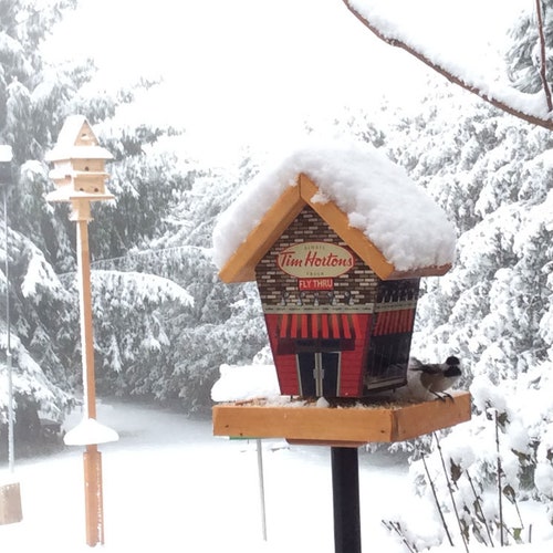 Personalised Bird Feeder Swing. Engraved With Any Name Family Etsy UK