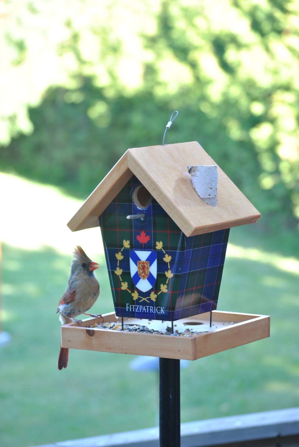 Custom Bird Feeder Etsy