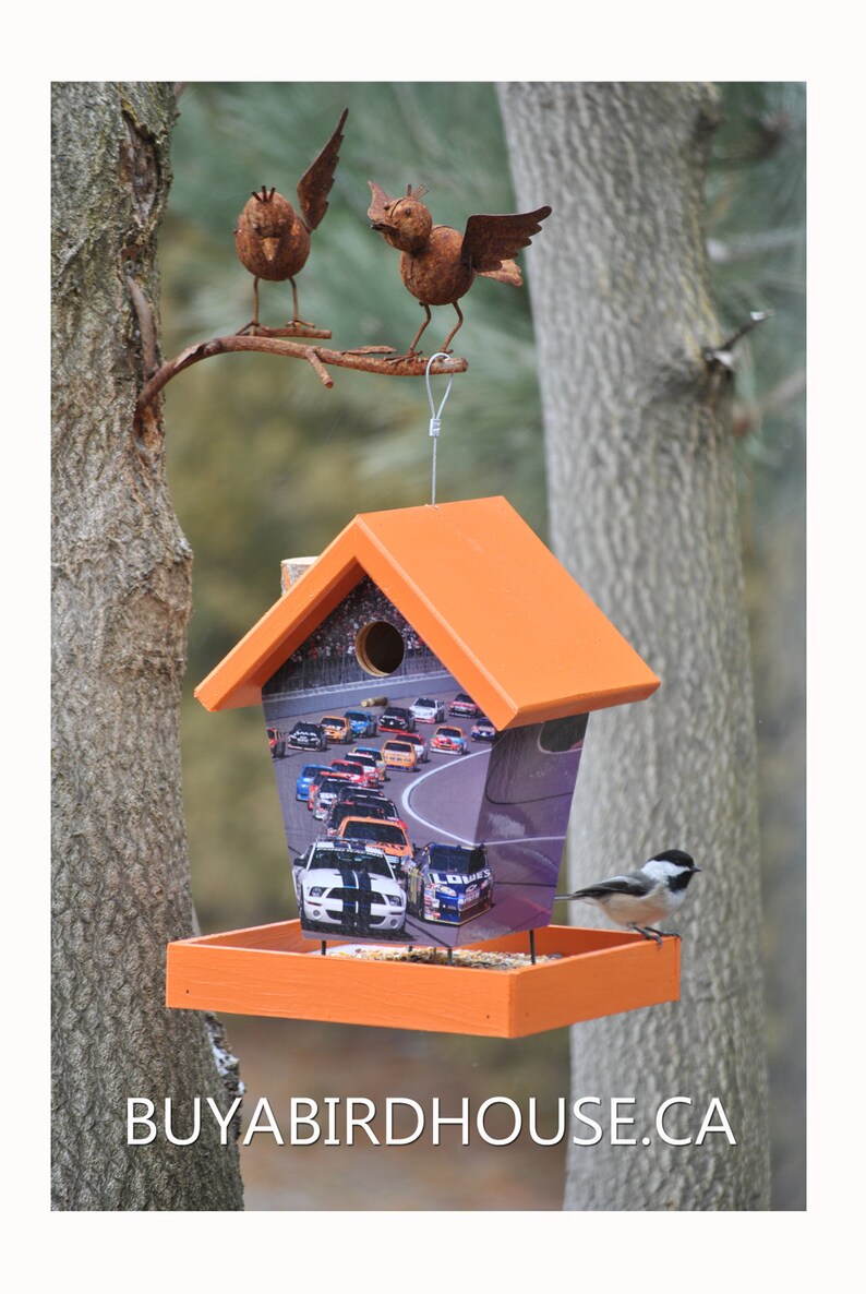 Nascar Bird Feeder image 3