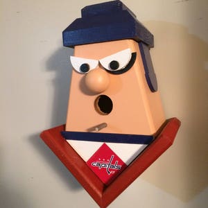 Washington Capitals Hockey Player Birdhouse