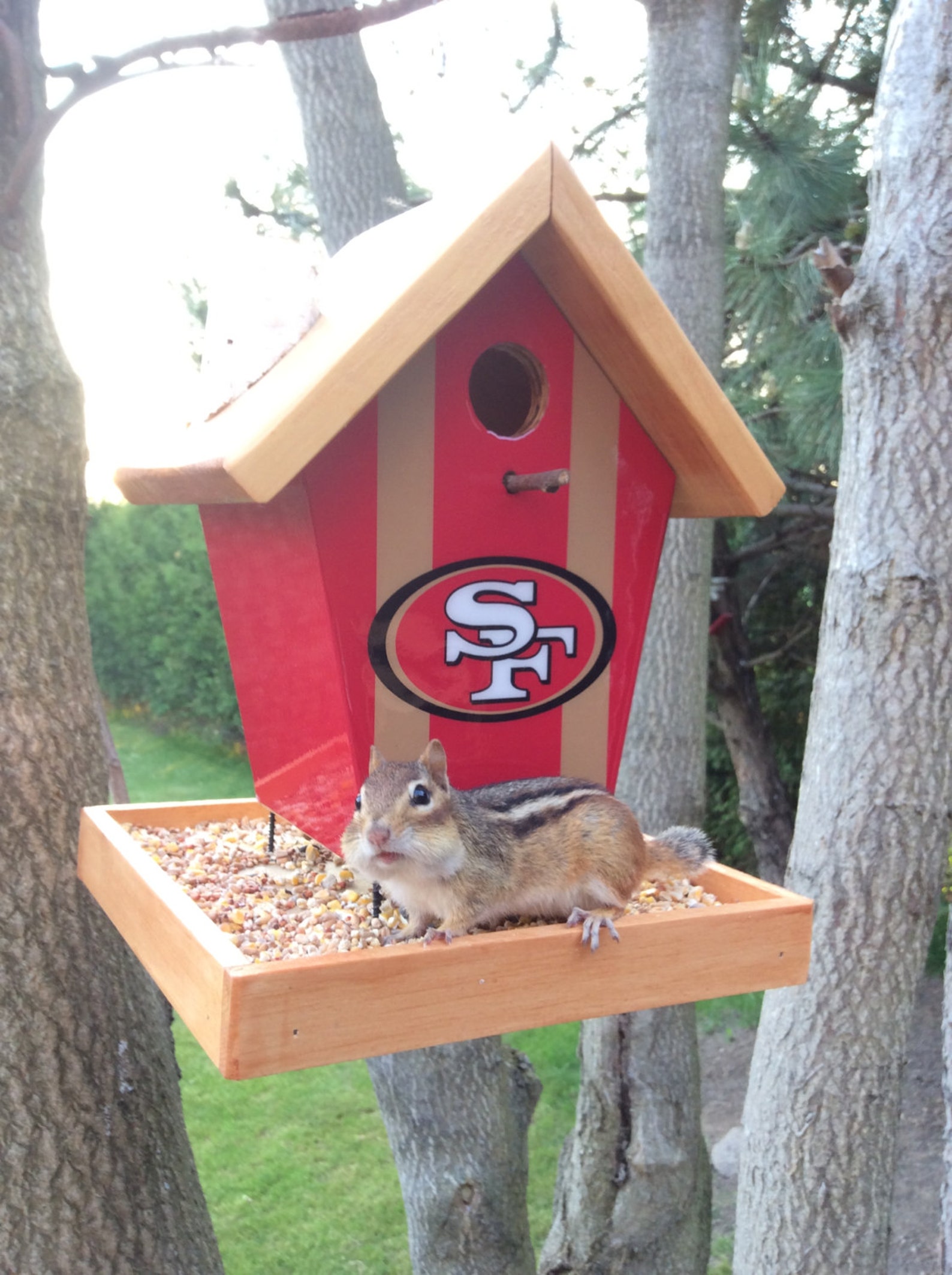 San Francisco 49ers Bird Feeder Etsy Canada