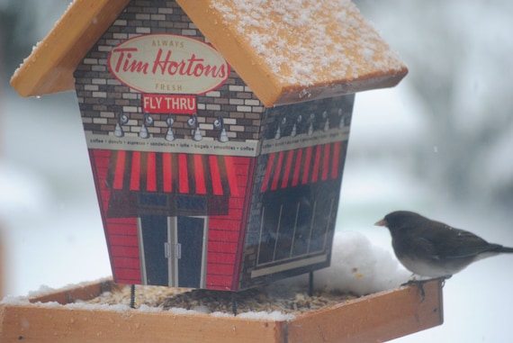 Tim Hortons Fly Thru Bird Feeder Etsy