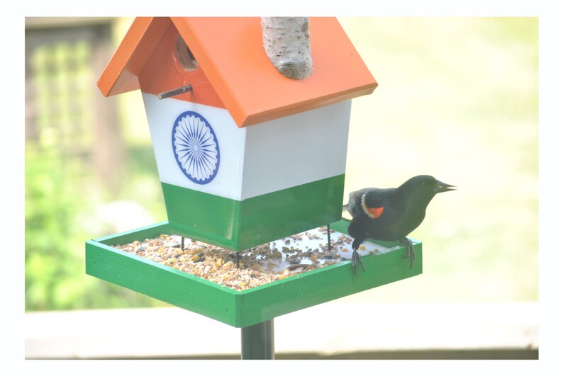 India Bird Feeder Etsy Canada