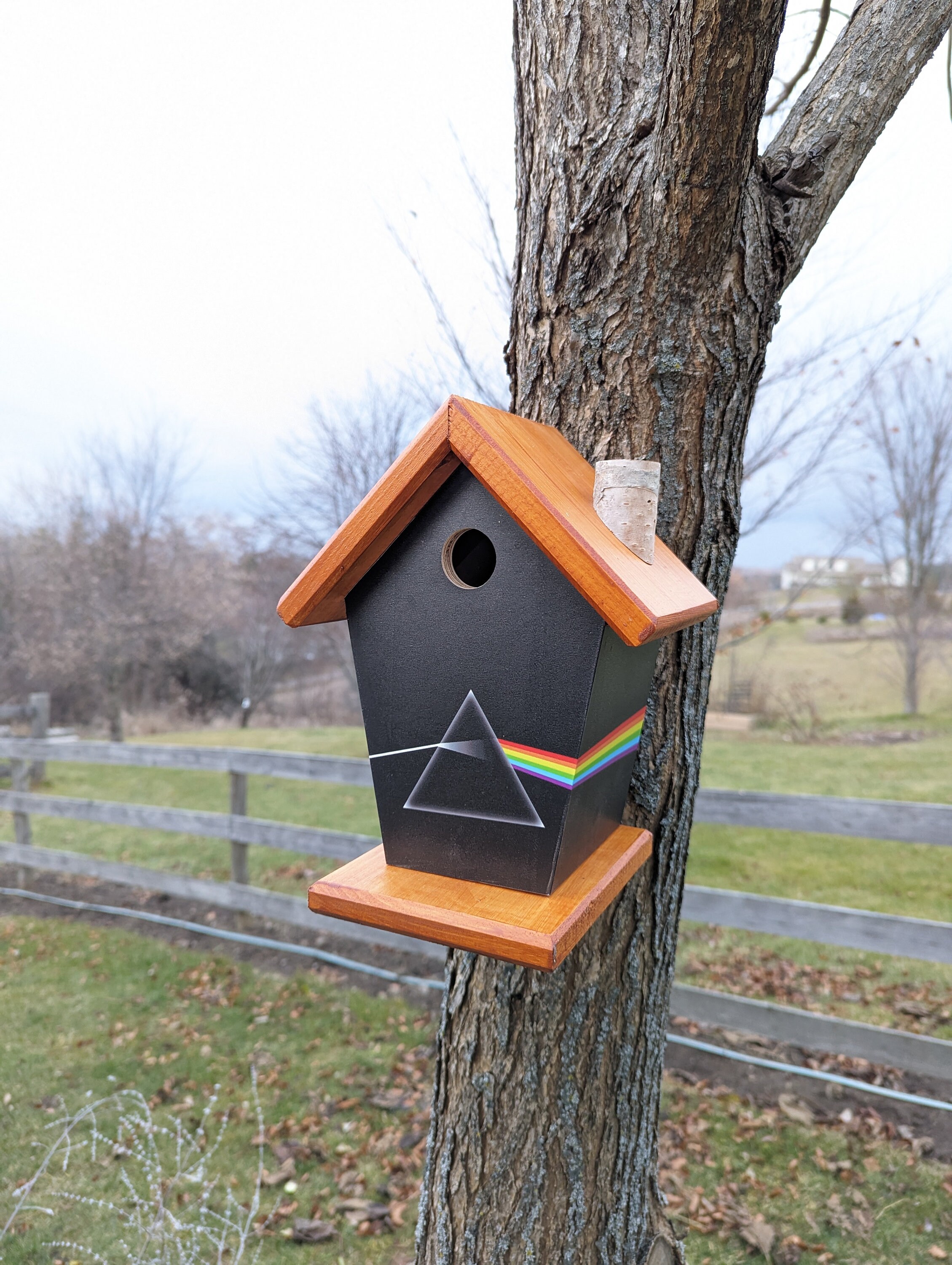 Pink Floyd Dark side of the Moon Birdhouse