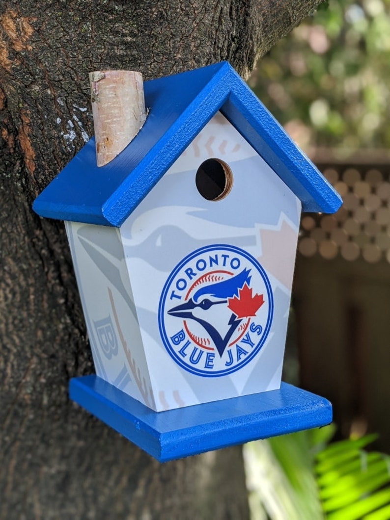 Blue Jays Cheap Birdhouse Blue Jays Cheap Birdhouse