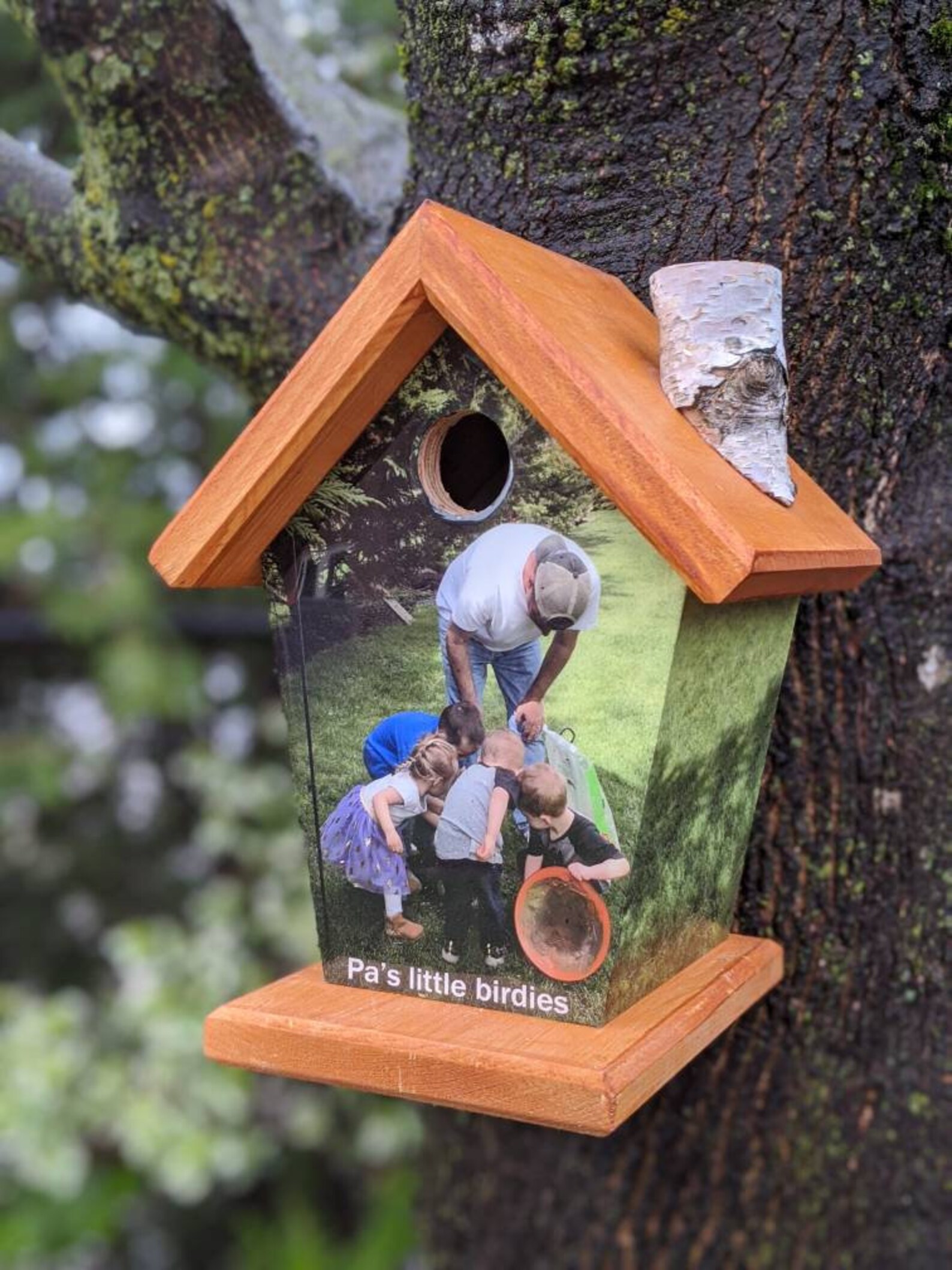 Personalized Birdhouse Etsy